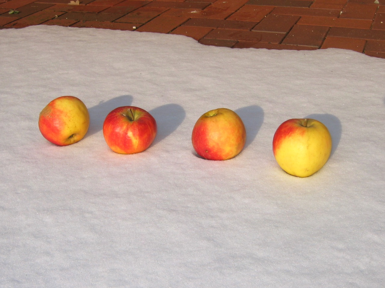 Vier Äpfel im Schnee · 27. Januar 2006